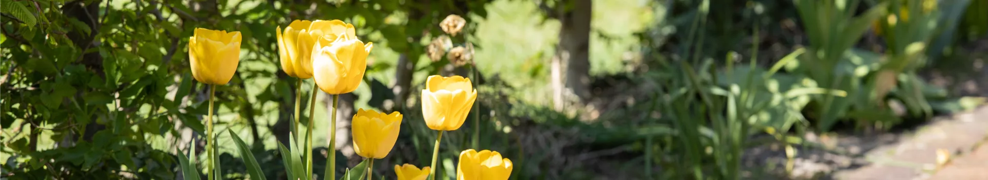 GS659439.jpg GS659439.jpg