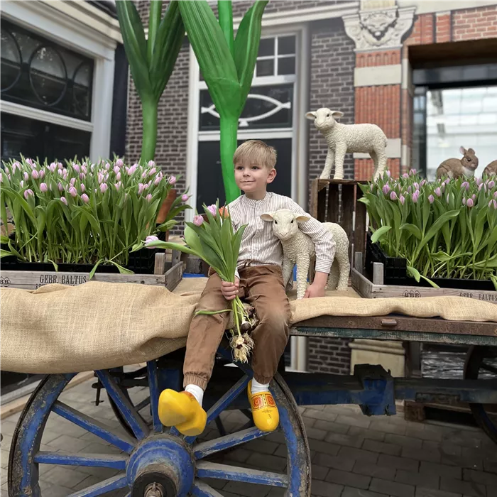 Gartencenter Gartencenter