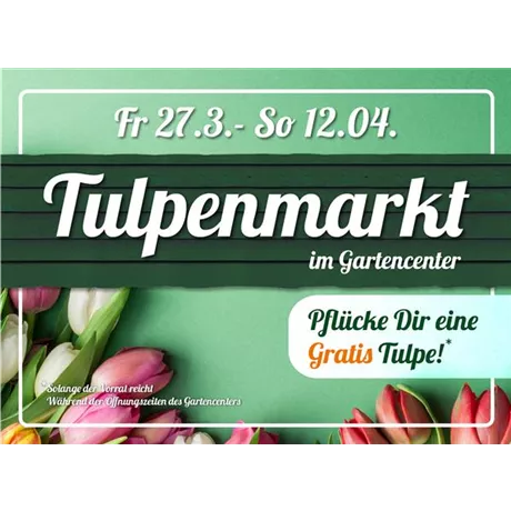 Tulpenmarkt im Holland-Park